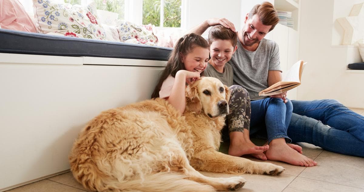 Can You Stay in Pet-Friendly Rentals Near Luke AFB During TDY?