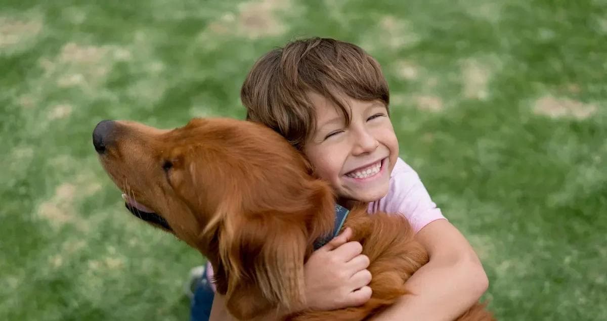 Should You Allow Pets in Military Rentals?
